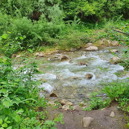 Homole E6 Lejlighed *